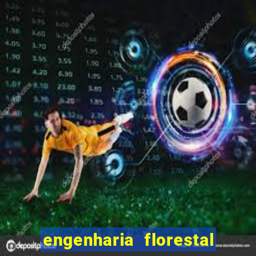 engenharia florestal ead cruzeiro do sul